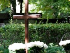 Капусветки 2025